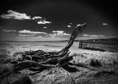 Old wooden pier at Sharpness Stock Photos