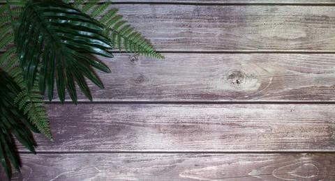 Old wooden plank pattern background horizontally There are tree buds and trac Stock Photos
