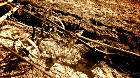 Old wooden plow and horses Stock Footage