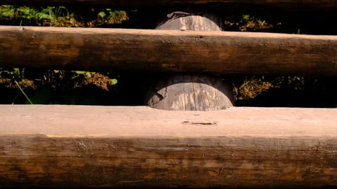 Old wooden steps. Selective focus. Stock Footage 262977985