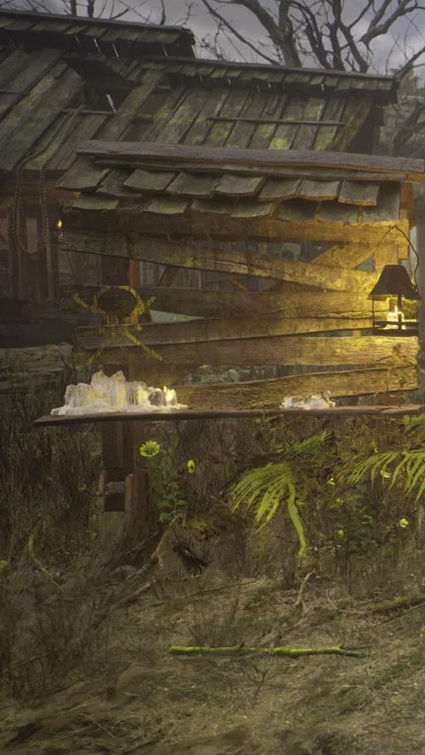 Old wooden structure with lantern and plants in dim light near forest Stock Footage 335960937