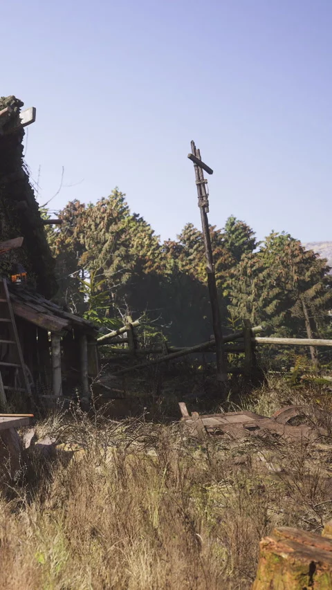Old wooden structure stands in a field surrounded by trees under a clear sky Video stock 339776529