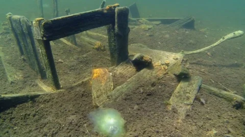 Old wooden structures found underwater in lake Stock Footage 83259802