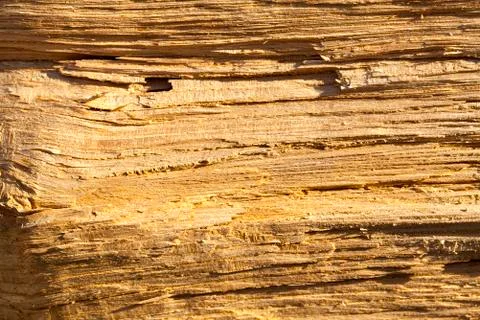 Old wooden surface Stock Photos