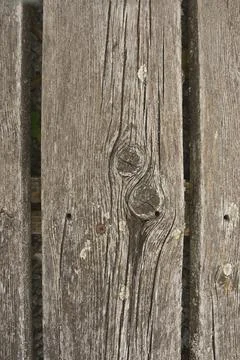 Old Wooden Surface with Rustic Texture and Decorative Natural Knots Fotos Stock