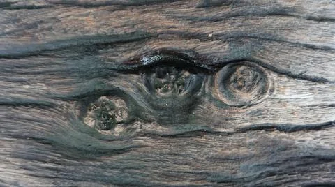 Old wooden surface in the shape of one eye for background or other illustrati Stock Illustration