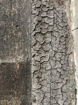 Old wooden surface with texture background Stock Photos