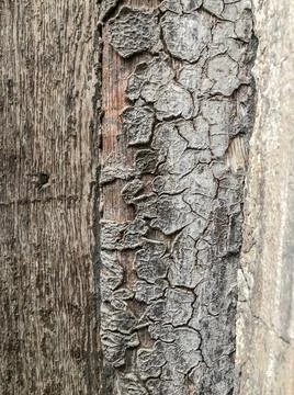 Old wooden surface with texture background Stock Photos
