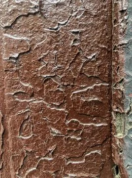 Old wooden surface with texture background Stock Photos
