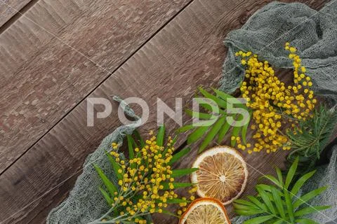 Old wooden table with mimosa flowers and leaves. Background image. Stock Photos