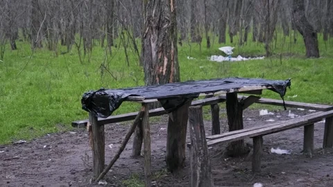 Old Wooden Table with Plastic Cover in Messy Forest Clearing Video stock 324523922