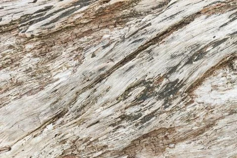 Old Wooden texture  background Stock Photos