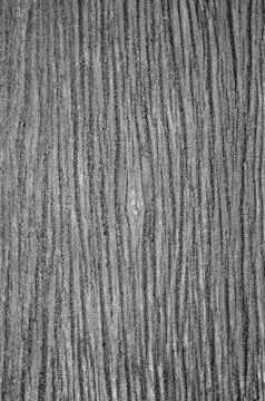 Old wooden texture Stockfoto's