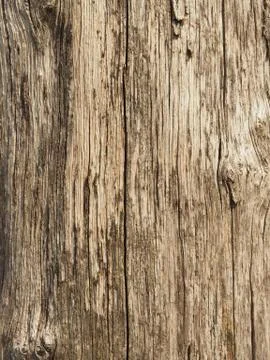 Old wooden texture 스톡 사진