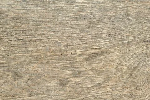 Old Wooden texture. Stock Photos