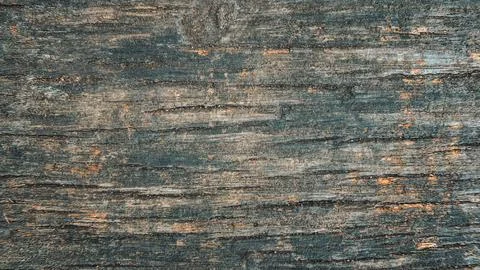 Old wooden texture with scuffs Stock Photos