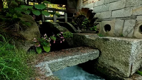 Old working mill in the middle of the woods Stock Footage 273505250