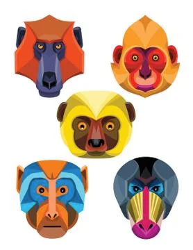 Old World Monkeys Flat Icon Collection. Stock Illustration
