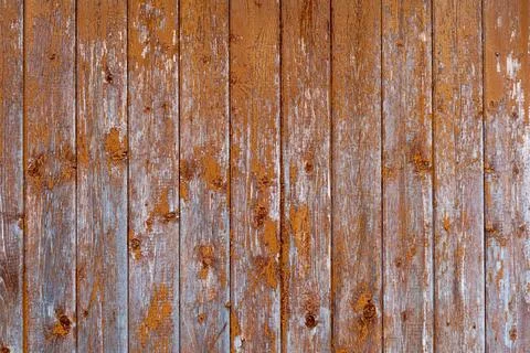 An old worn barn board. Stock Photos