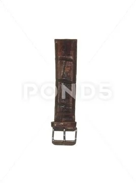 Old worn brown watch strap with a metal buckle isolated on white background Stock Photos