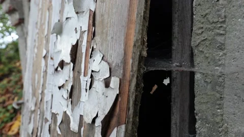 Old worn doors, paint peeling from the sun and rain. Stock Footage 218315497