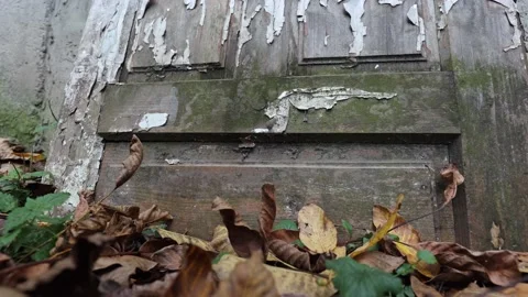 Old worn doors, paint peeling from the sun and rain. Stock Footage 218315821