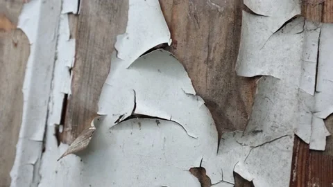 Old worn doors, paint peeling from the sun and rain Stock Footage 218353366