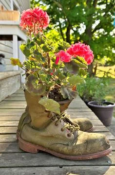 Old Worn Out Work Boots Turned into a Decorative Geranium Planter Stock Photos