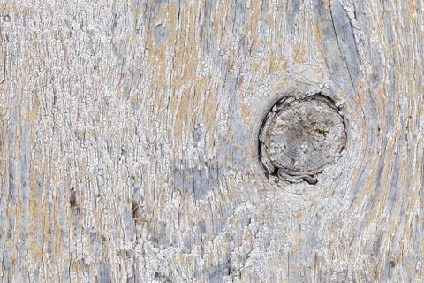 Old worn plank wall with base of a branch Stock Photos