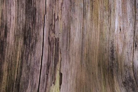 Old worn wood texture pattern background Stock Photos