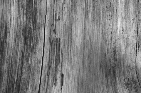 Old worn wood texture pattern background grey, monochrome, black and white Stock Photos