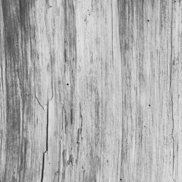 Old worn wood texture pattern background grey, monochrome, black and white Stock Photos