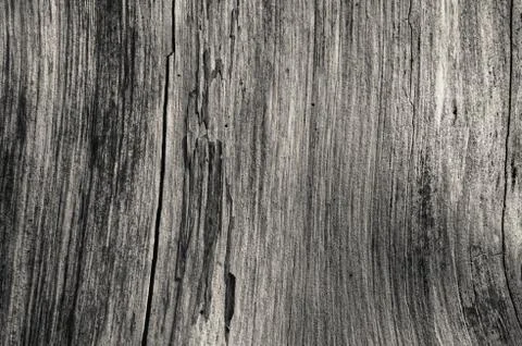 Old worn wood texture pattern background grey, monochrome, black and white Foto stock