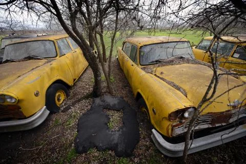 Old Yellow Cabs Surrender To Time and Decay Stock Photos