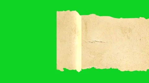 Old yellow paper sheet rolling right side revealing animated on green screen Stock Footage 335216475