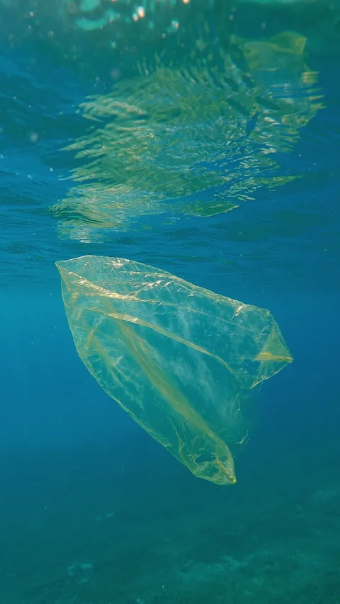 Old yellow plastic bag floating below water reflected on surface in sunlight Video stock 336927772