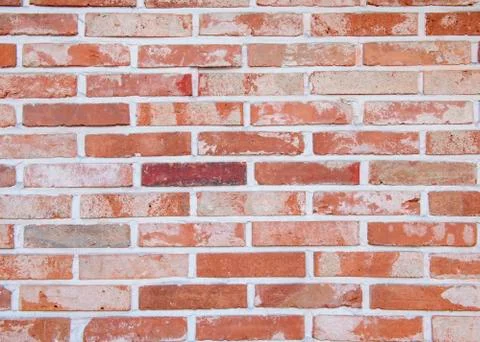 Olde brick wall Stock Photos