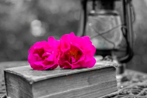 Olde love Stock Photos