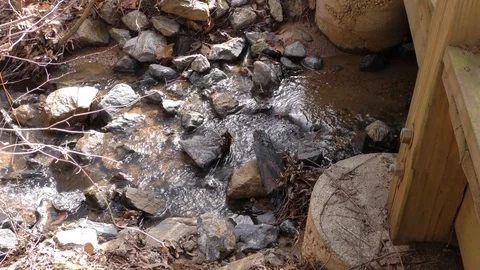 Olde Rope Mill Rd Park, GA, Close Up of creek near the Little River Stock Footage 86953964