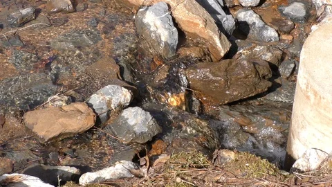 Olde Rope Mill Rd Park, GA, Close Up of creek near the Little River Stock Footage 86953973