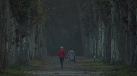 Older couple walking in the park Video stock 56833416