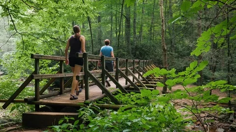 Older Family Walking Into the Forest Over a Wood Bridge Stock Footage 117091908