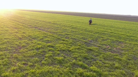 Older farmer checking on grain fields in early winter Stock Footage 49098167