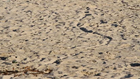 Older Ladies Stock Footage ~ Royalty Free Stock Videos | Pond5