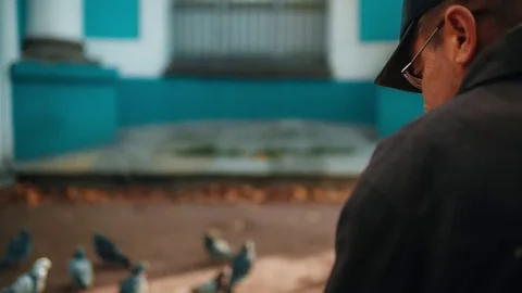 Older Man Feeding Pigeons Video stock 72999080