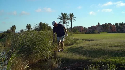 Older man looking for lost balls around a golf course lake. Sunny day at suns Stock Footage 252603904