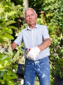 Older man pruning fruit trees Stock Photos