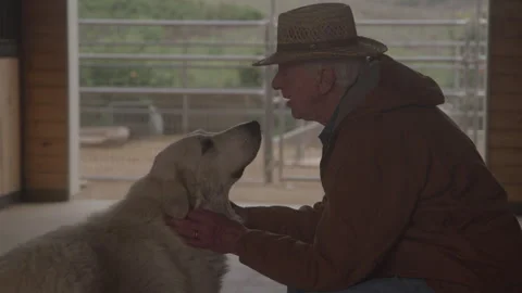 Older Man Sits On Bench In Barn With Dog Stock Footage 270334524