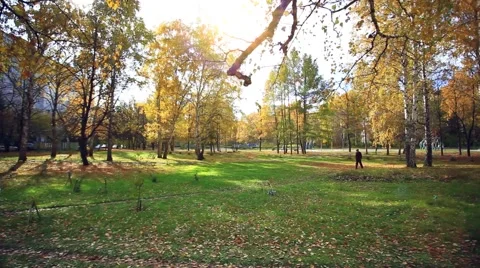 Older man through park in autumn forest in the light of the rising sun Stock Footage 52683653