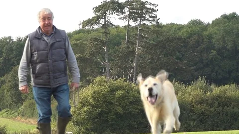 Older Man Walking Dog in a Field Stock Footage 80419840